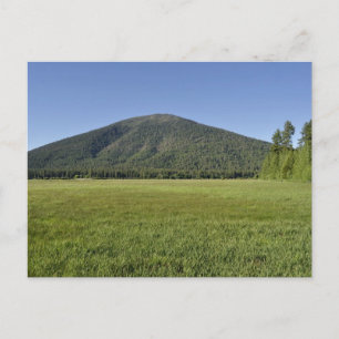 Carte Postale Bouton noir
