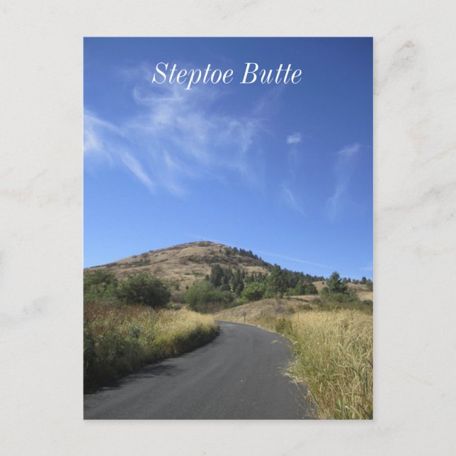 Carte Postale Bouton Steptoe (Devant)