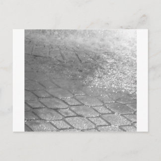 Carte Postale Boutons de pluie noirs et blancs