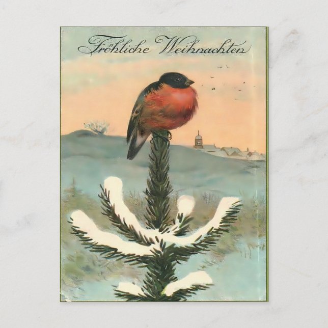 Carte Postale Bouvreuil vintage sur pin enneigé (Devant)