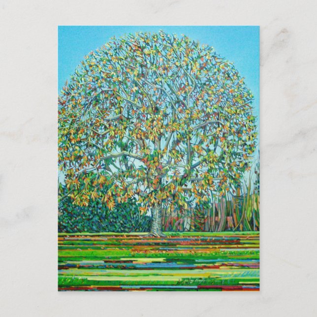 Carte Postale Bow Tree Autumn (Devant)