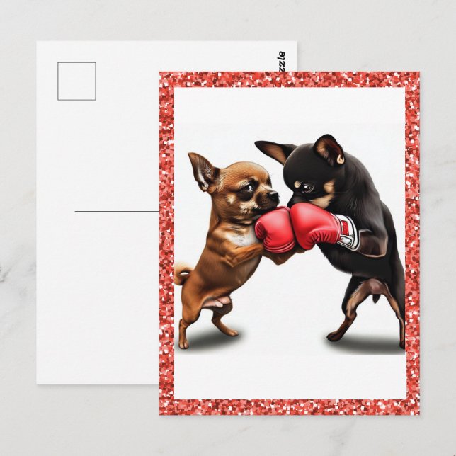 Carte Postale Boxe art Chihuahuas (Devant / Derrière)