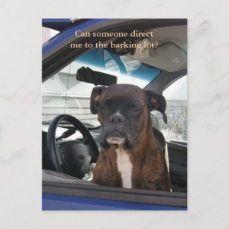 Carte Postale Boxer dans le siège du conducteur à Dutch Harbour,