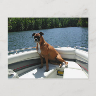 Carte Postale boxer_dog_on_a_boat.png