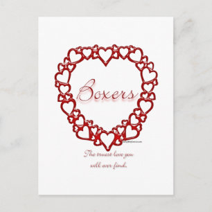 Carte Postale Boxer Véritable Amour