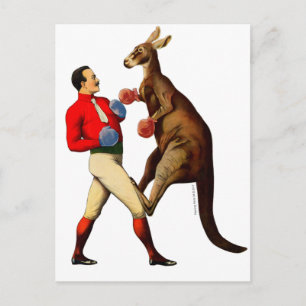 Carte Postale Boxer vintage Kangaroo Boxer Sport