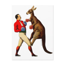 Boxer vintage Kangaroo Boxer Sport