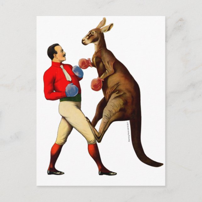 Carte Postale Boxer vintage Kangaroo Boxer Sport (Devant)