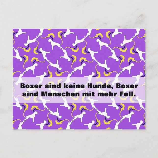 Carte Postale Boxers (Devant)