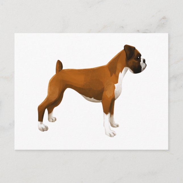 Carte Postale Boxeur (Devant)