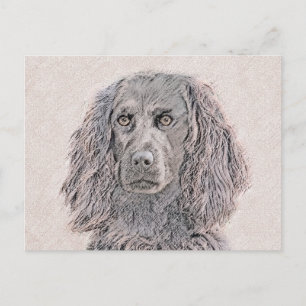 Carte Postale Boykin Peinture Espagnole - Cute Original Chien Ar