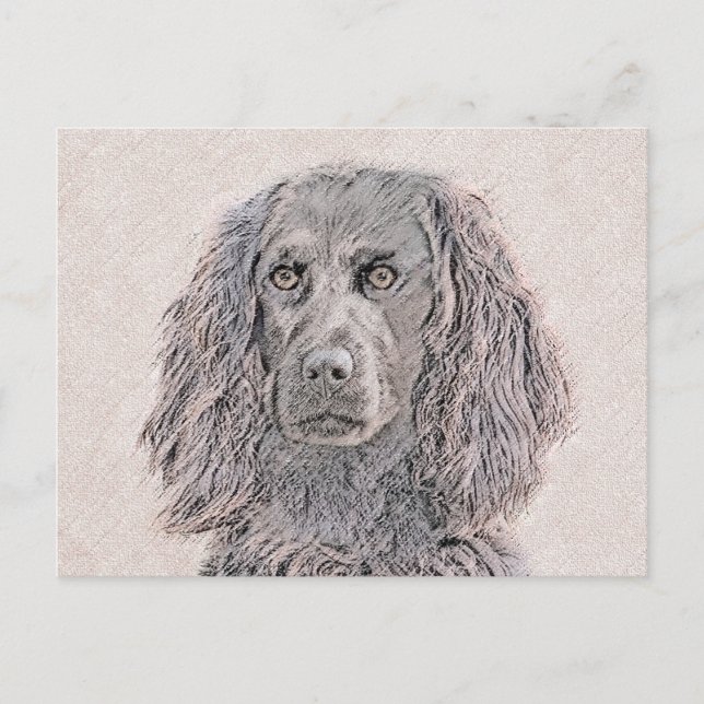 Carte Postale Boykin Peinture Espagnole - Cute Original Chien Ar (Devant)