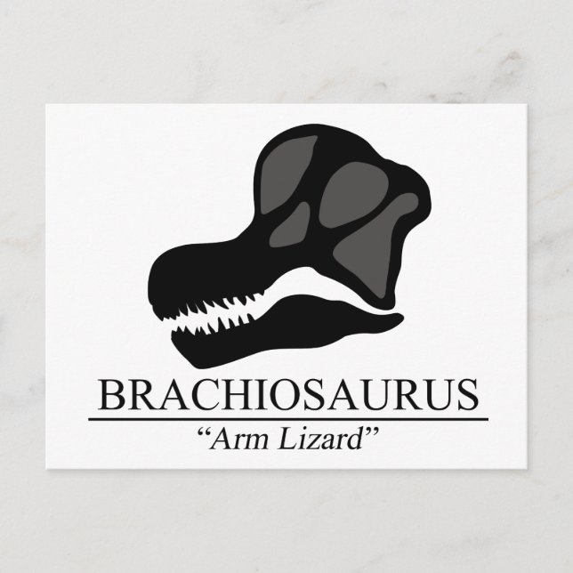 Carte Postale Brachiosaurus (Devant)