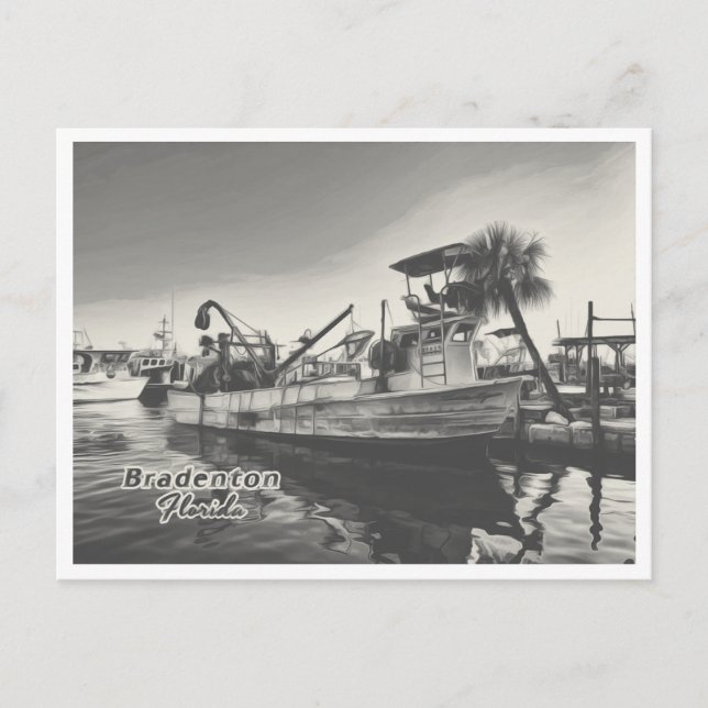 CARTE POSTALE BRADENTON FLORIDA (Devant)