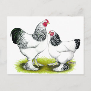 Carte Postale Brahma : Lumière