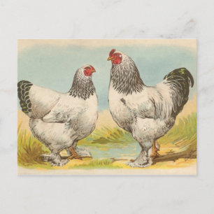 Carte Postale Brahmas Lumière