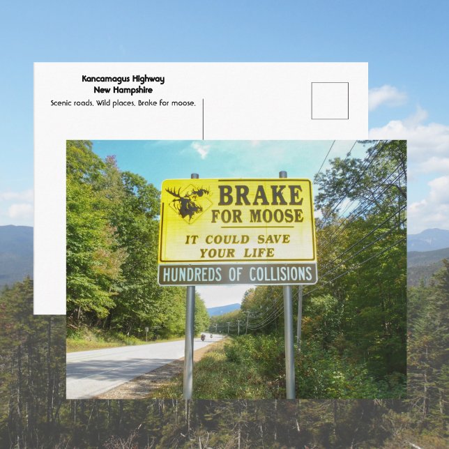 Carte Postale Brake for Moose Kancamagus Highway New Hampshire (Créateur téléchargé)