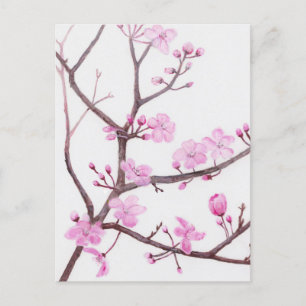 Carte Postale Branche arborescente fleurie de fleurs roses au pr