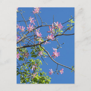 Carte Postale Branche avec fleurs