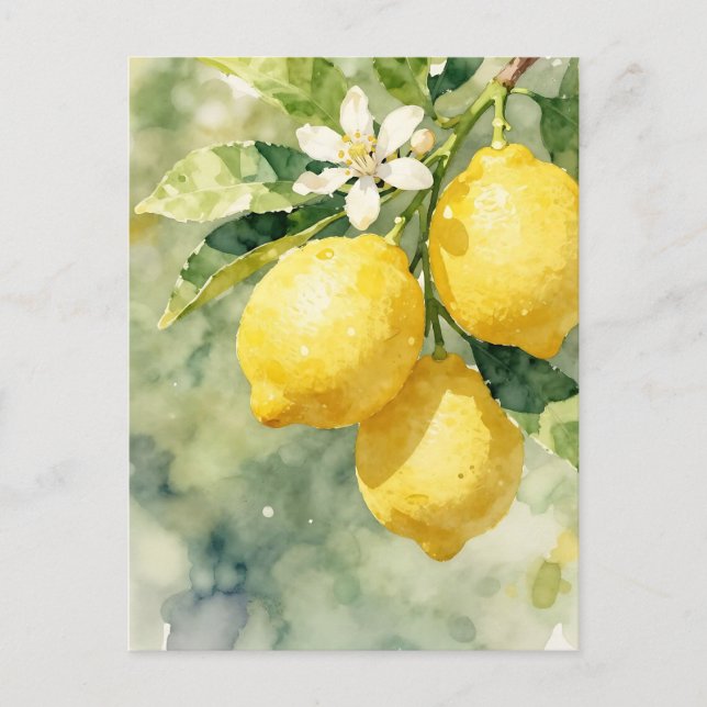 Carte Postale Branche de citron à l'aquarelle Botanique Été (Devant)