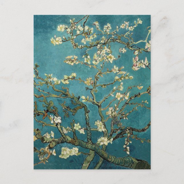 Carte Postale Branches d'amandier en fleurs de Van Gogh (Devant)