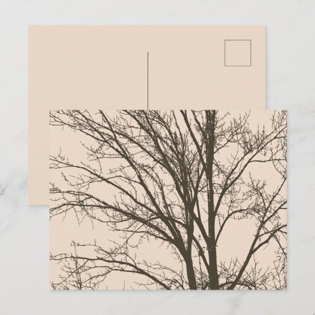 Carte Postale Branches d'arbre Brown à la crème rustique (Devant / Derrière)