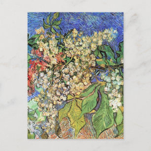Carte Postale Branches de châtaignes florissantes par Vincent va
