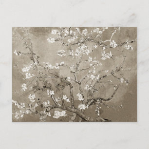 Carte Postale Branches Van Gogh Almond en Bloom - Sepia
