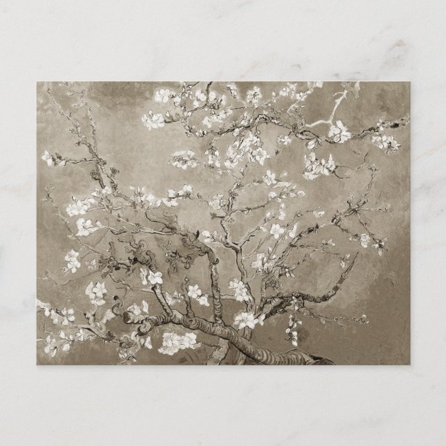 Carte Postale Branches Van Gogh Almond en Bloom - Sepia (Devant)