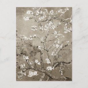 Carte Postale Branches Van Gogh Almond en Bloom - Sepia