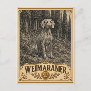 Carte Postale Braque de Weimar, Chien du Patrimoine Vintage