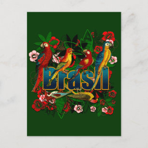 Carte Postale Brasil Brazil Tropical floral rainforest birds art