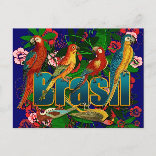 Carte Postale Brasil floral tropical Oiseaux (Devant)