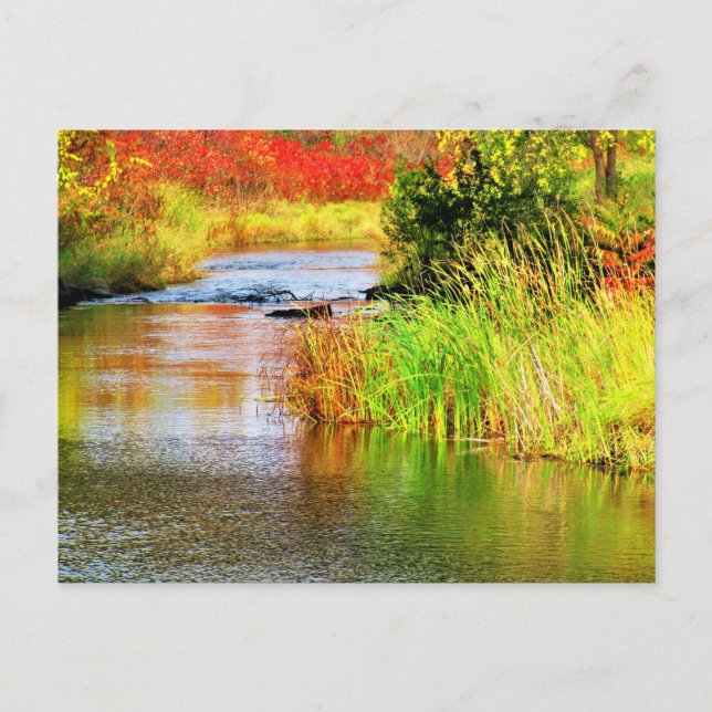 Carte Postale Brasserie Creek en automne Sunny Day Pittoresque (Devant)