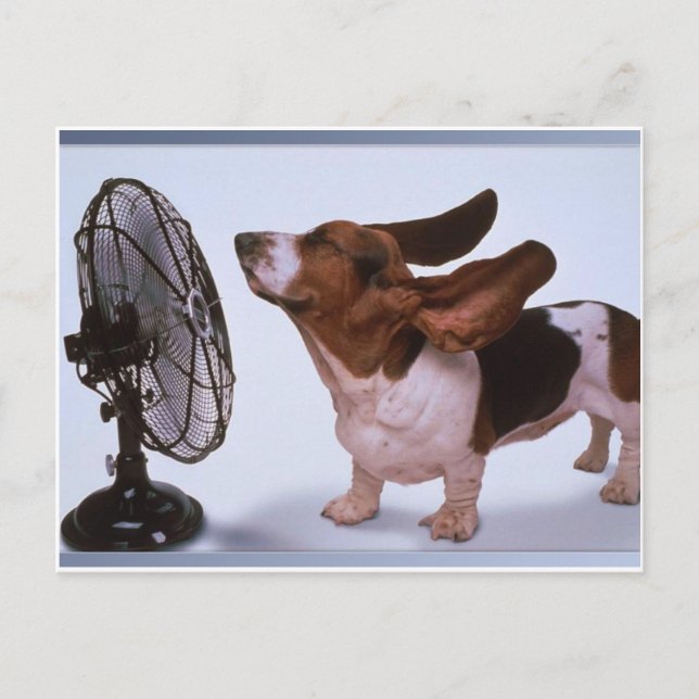 Carte Postale Breeze - Chien et ventilateur (Devant)
