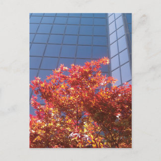 Carte Postale Brentwood Trees et verre