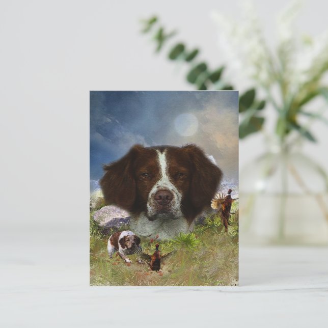 Carte Postale Bretagne française, Art (Debout devant)