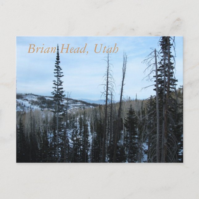 Carte Postale Brian Head, Utah (Devant)