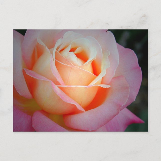 Carte Postale Brianna (Devant)