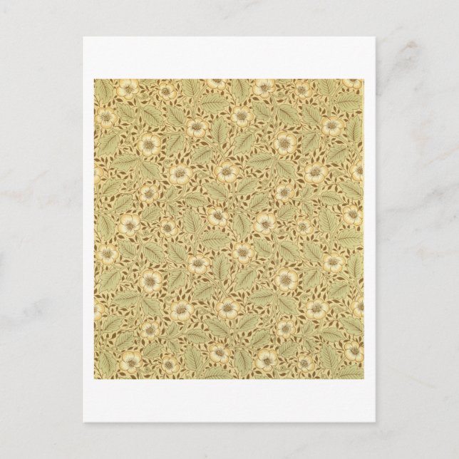 Carte Postale Briar Rose (Devant)