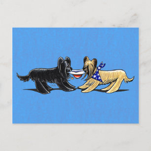 Carte Postale Briard Mad Hatters Off-Leash