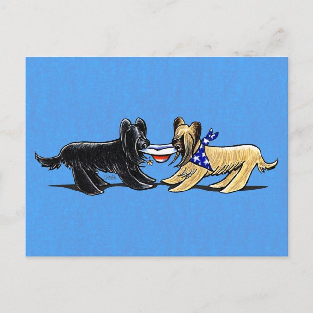 Carte Postale Briard Mad Hatters Off-Leash (Devant)