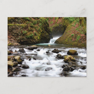 Carte Postale Bridal Veil Falls Oregon Waterfall Postcard