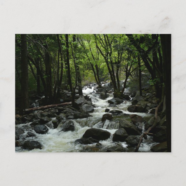 Carte Postale Bridalveil Creek à Yosemite National Park (Devant)