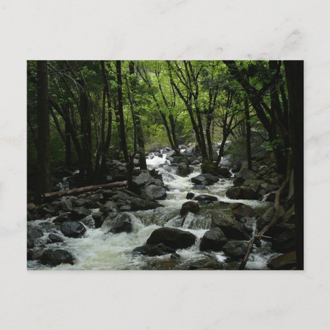 Carte Postale Bridalveil Creek à Yosemite National Park (Devant)