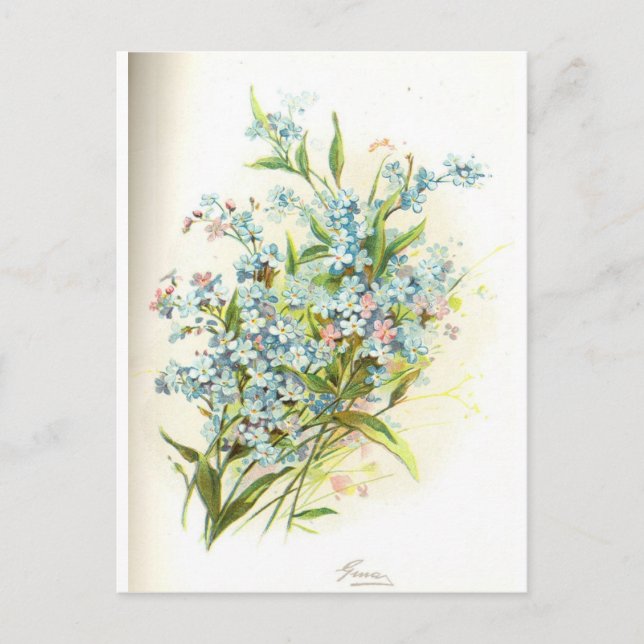 Carte Postale Brier rose (Devant)