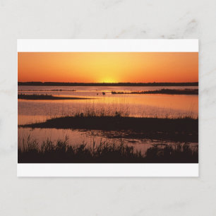 Carte Postale Brigantine NWR à Sunset.jpg
