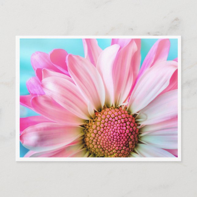 Carte Postale Bright Floral Delal (Devant)