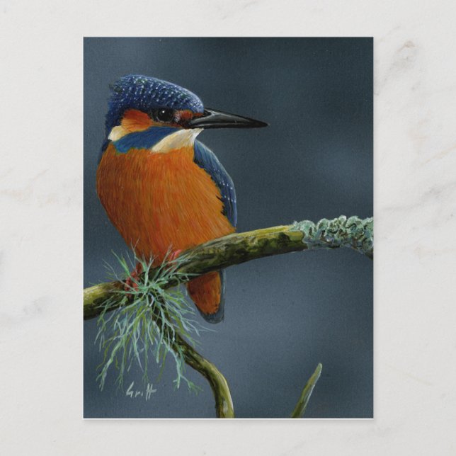 Carte Postale Bright Kingfisher cadeaux (Devant)