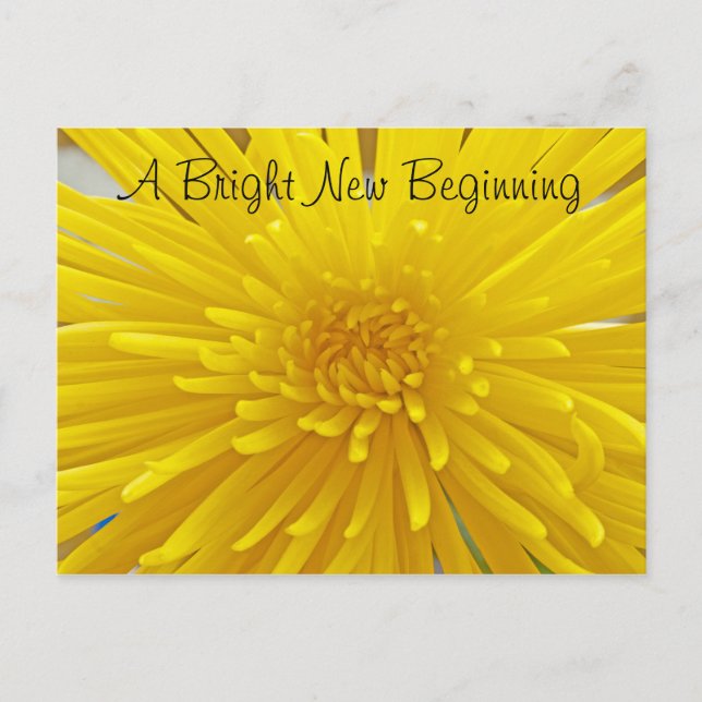 Carte Postale Bright Yellow Spiky Dahlia Photo Penser De Vous (Devant)